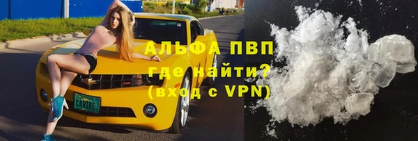 гашик Алзамай