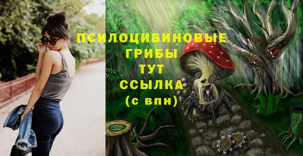 гашик Алзамай