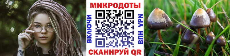 Галлюциногенные грибы GOLDEN TEACHER  Кемь 