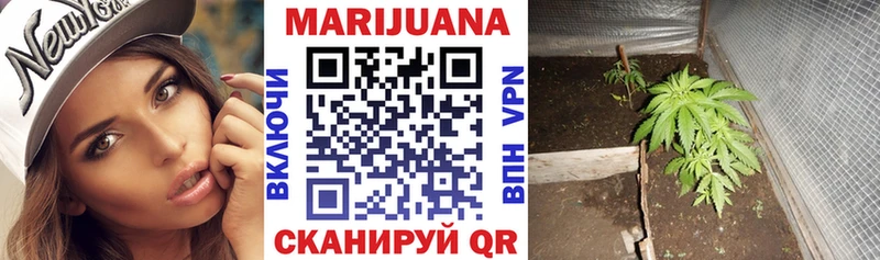Конопля индика  сколько стоит  Кемь 